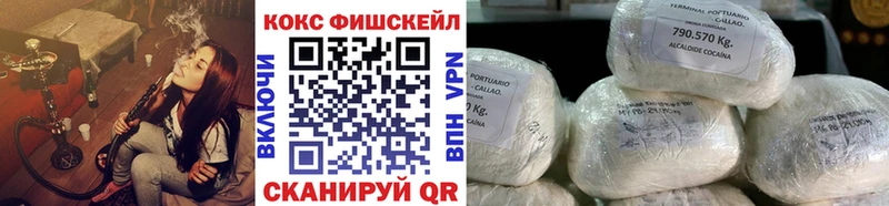 Купить закладки  Камышлов  Cocaine 97% 