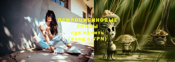дурь Заводоуковск
