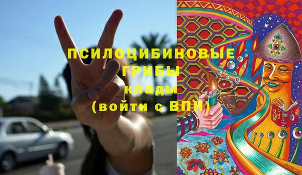 дурь Заводоуковск