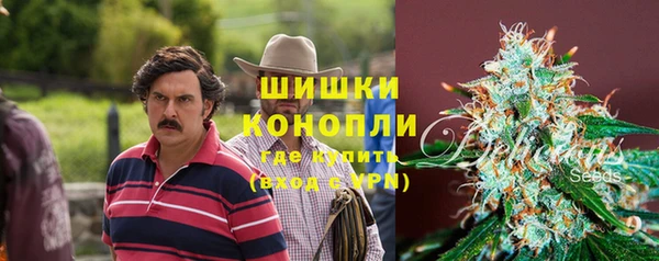 дурь Заводоуковск
