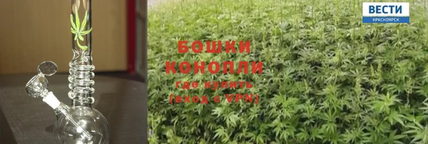 дурь Заводоуковск