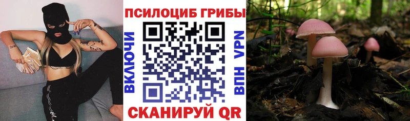 Галлюциногенные грибы MAGIC MUSHROOMS  Купить закладки  Камышлов 